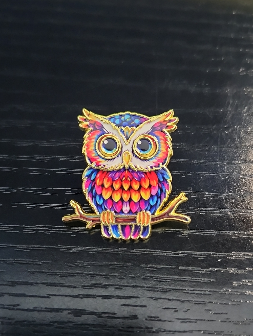 Multicolor Owl Enamel Pin for Bird Lovers